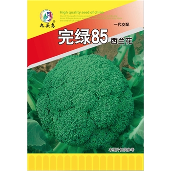 完绿85