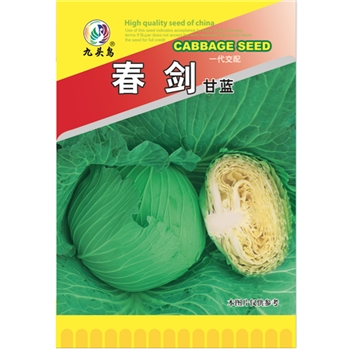 春剑