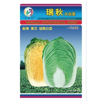 瑞秋