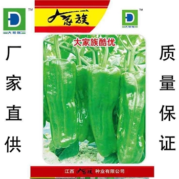 大家族酷优