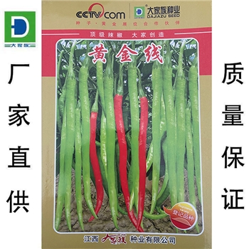 黄金线