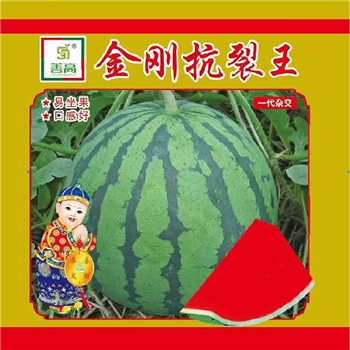 金刚抗裂王