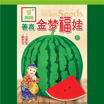 善高金梦福娃