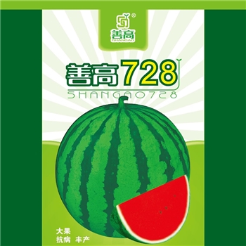 善高728