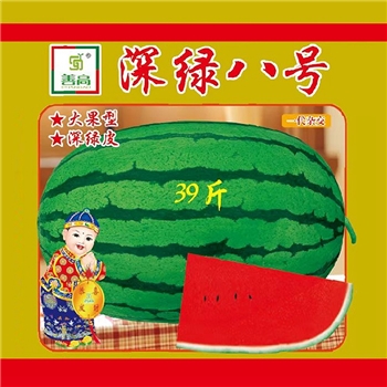 深绿八号