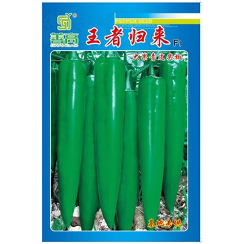 王者归来