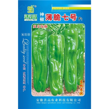 神椒薄脆七号