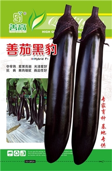 善茄黑豹