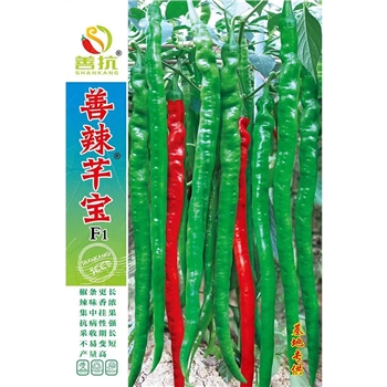 善辣芊宝