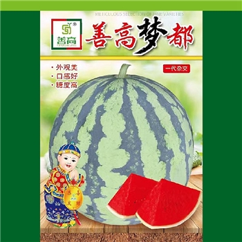 善高梦都