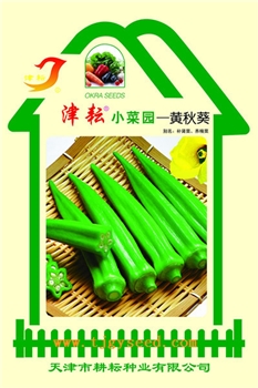 【天津耕耘】黄秋葵小菜园/30粒