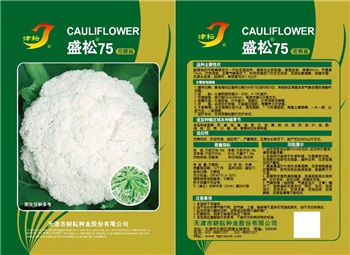 盛松75