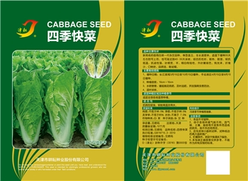 四季快菜