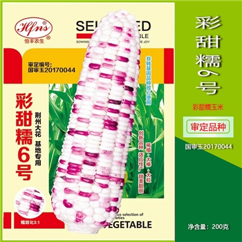 彩甜糯6号