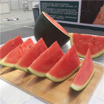 庆黑2号