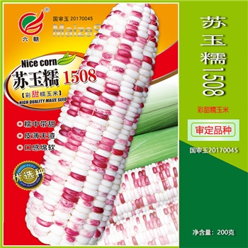 苏玉糯1508