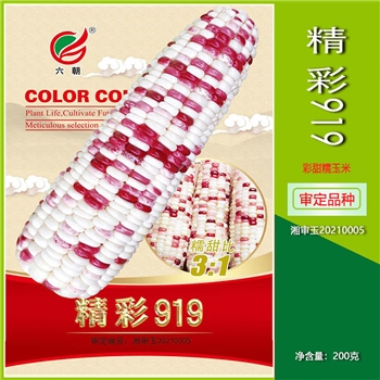 精彩919