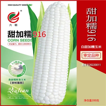 甜加糯916