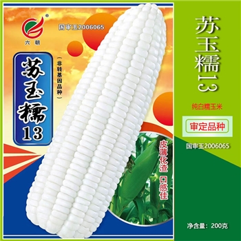 苏玉糯13