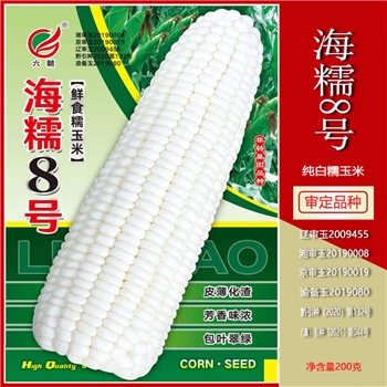 海糯8号