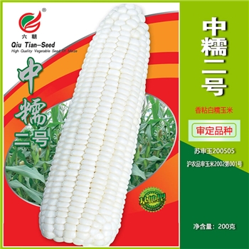 中糯二号