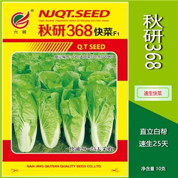 秋研368