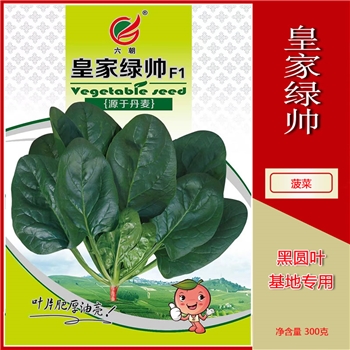 皇家绿帅