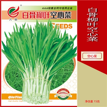 白骨柳叶空心菜