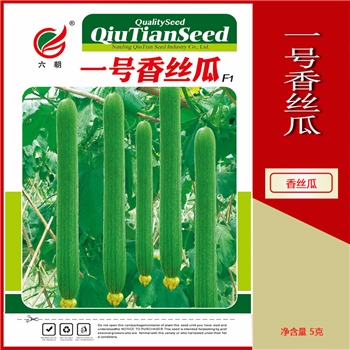 一号香丝瓜