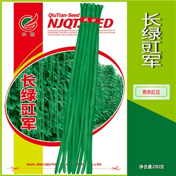 长绿豇军