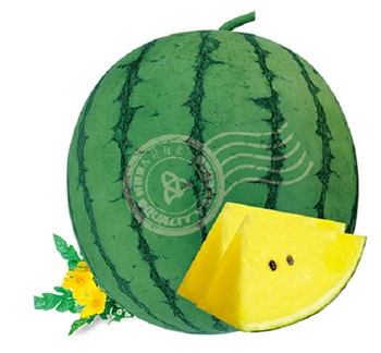 改良精选小兰
