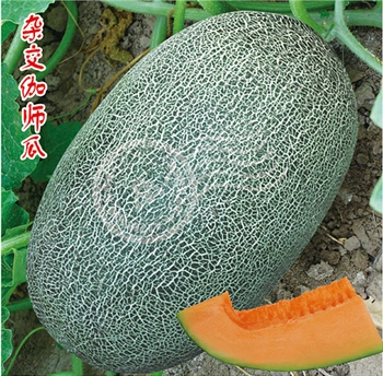 农甜三号