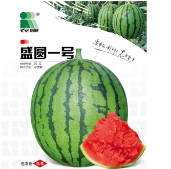 盛圆一号
