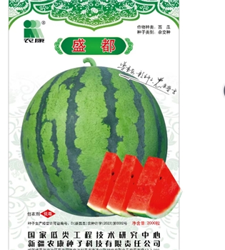 盛都