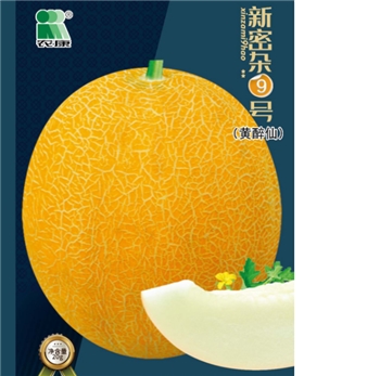 新蜜杂9号（黄醉仙）