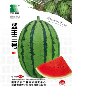 盛丰三号