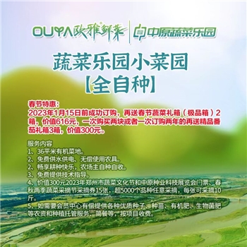 蔬菜乐园小菜园
