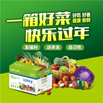 蔬菜礼箱