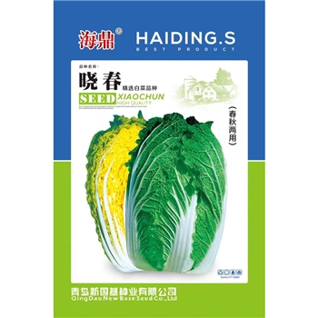 晓春