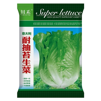 意大利耐抽苔生菜