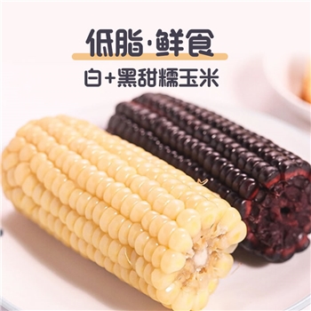  川禾白加黑真空玉米--预售！9月10日起发货