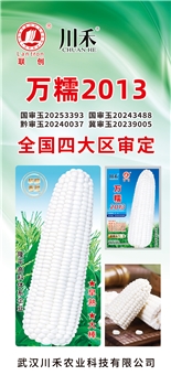 万糯2013