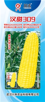 汉甜309
