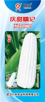 庆甜糯12