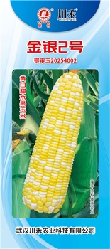 金银2号