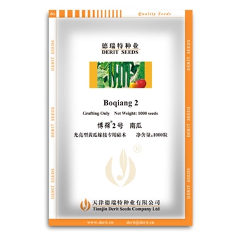 光亮型黄瓜砧木—博强2号