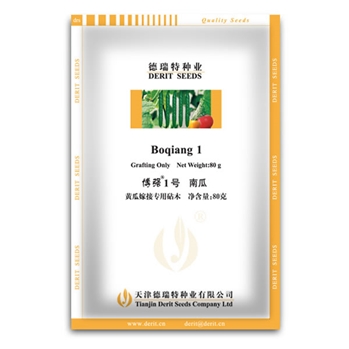 黄瓜嫁接专用砧木—博强1号