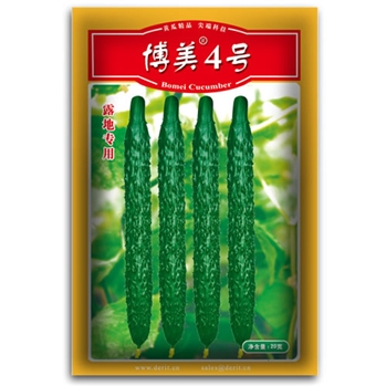 露地黄瓜种子—博美4号