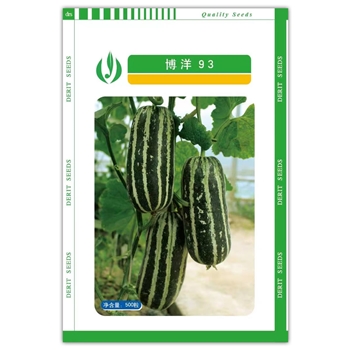 博洋93