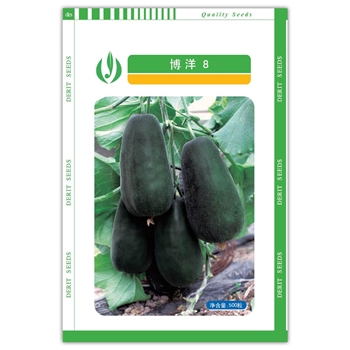 博洋8 